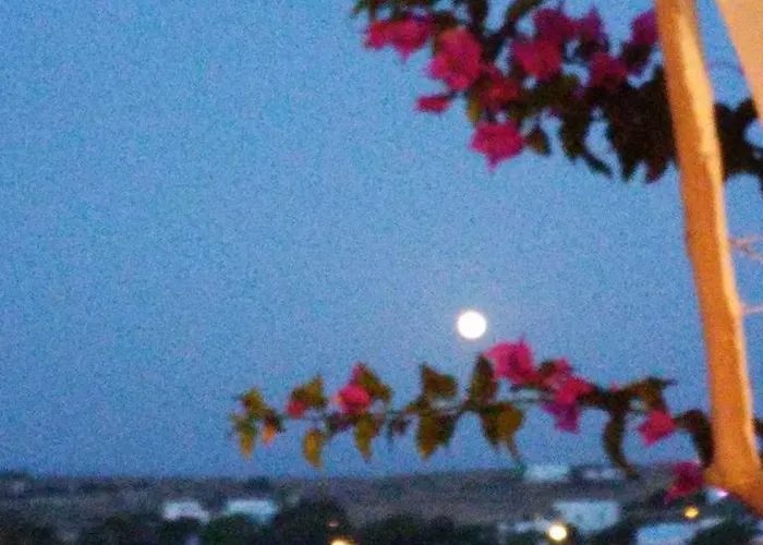 Bocamviglies By The Sea