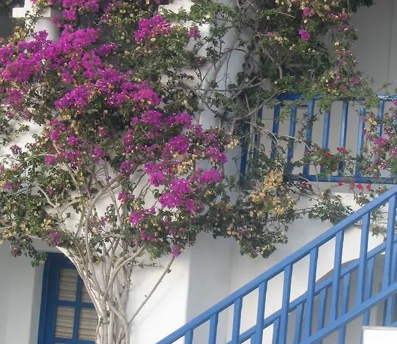 Bocamviglies By The Sea