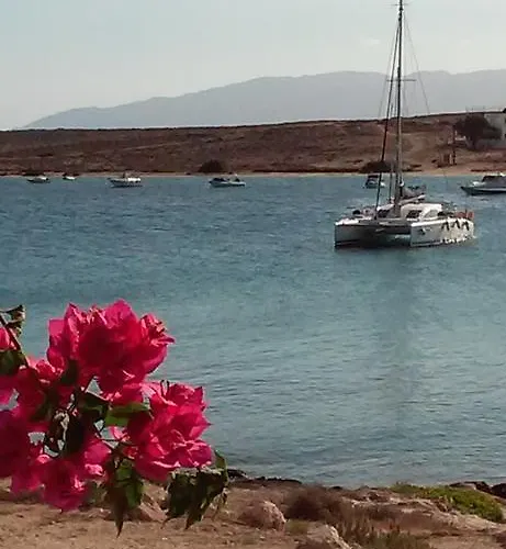 Bocamviglies By The Sea 4*